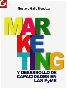 Marketing y desarrollo de capacidades en las PyME